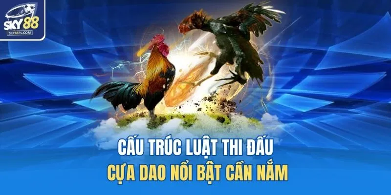 Đá Gà Cựa Dao SKY88 - Trải Nghiệm Đỉnh Cao Cho Dân Đam Mê 3 Cấu trúc luật thi đấu cựa dao nổi bật cần nắm